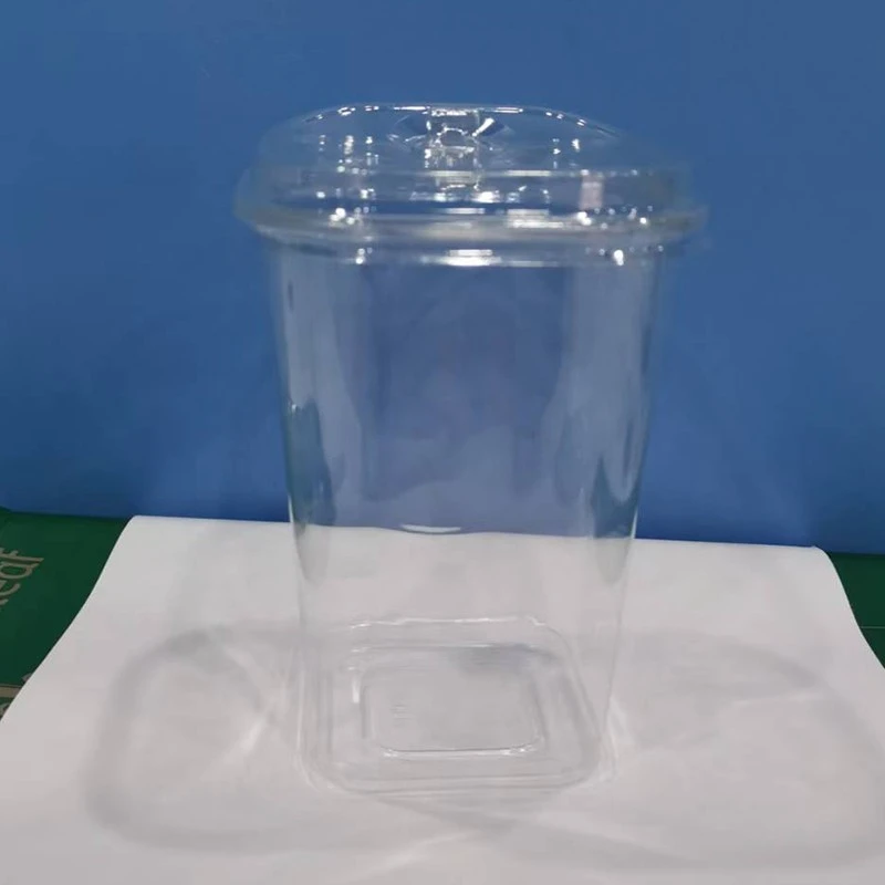 Square Plastic PET Cups factory